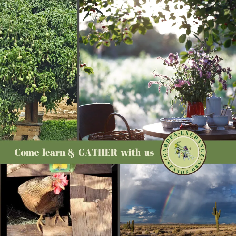 Come Learn & GATHER with Us.